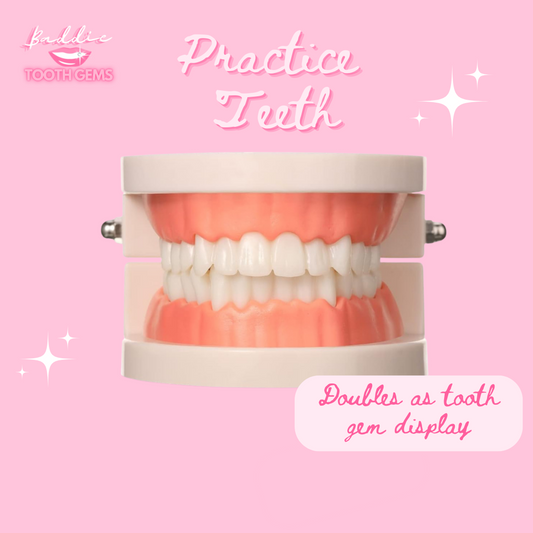 Practice Teeth & Gem Display